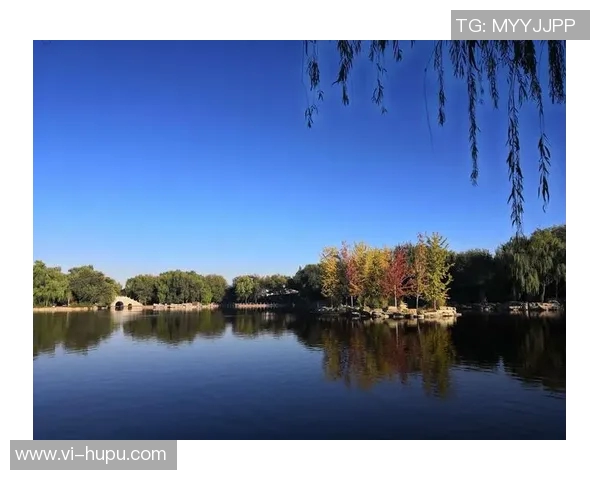 阿兰·佩斯：“能来到这里是我的荣幸”